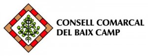 consell comarcal baix camp